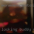 Looking buddy Chicago