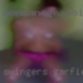 Swingers Garfield